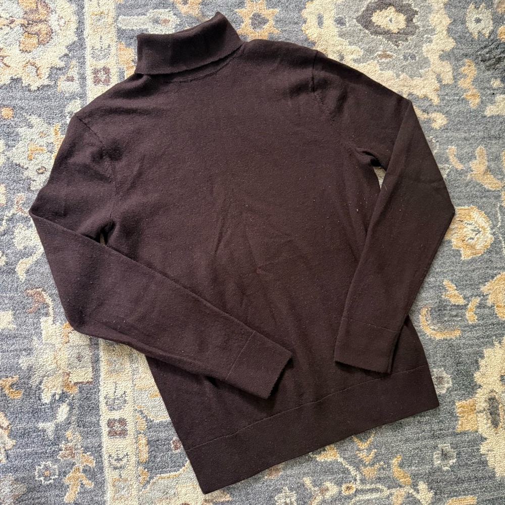 Banana Reoublic merino wool turtleneck